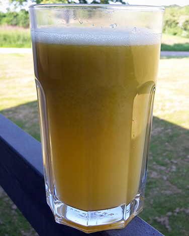 Rezept Orangen Apfel Smoothie